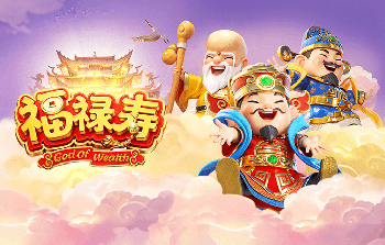 斑鸠哥是什么梗